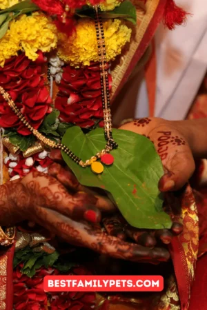 Interesting Marathi Wedding Superstitions